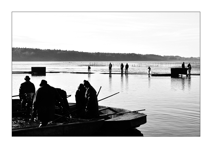 _DSC1739